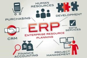 أنواع نظام erp