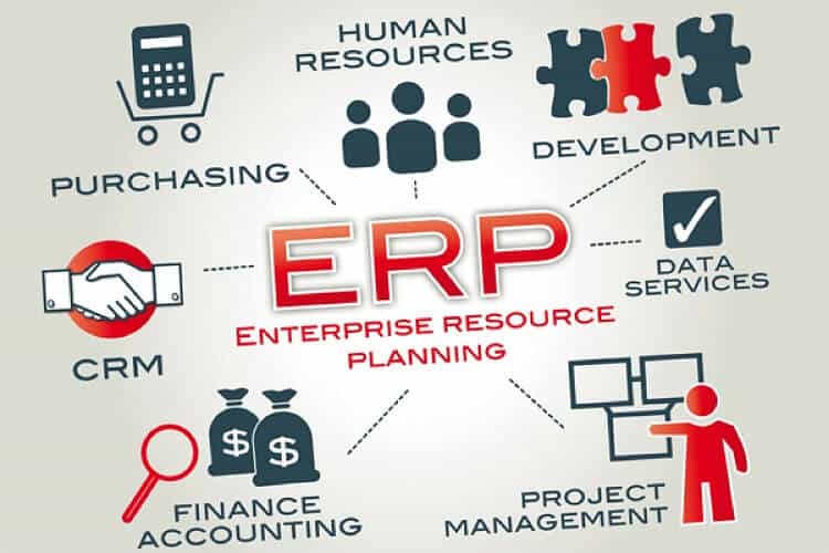 Read more about the article تعرف علي كل أنواع نظام erp